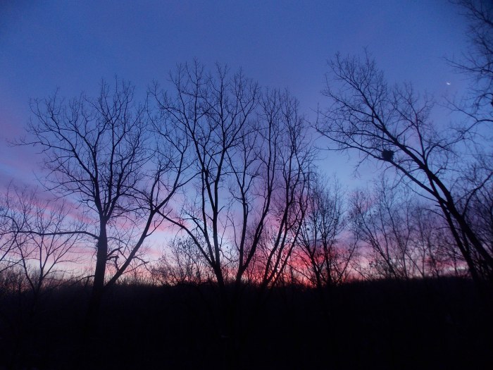 If you look carefully (or increase the size), you can see the moon on the upper right.