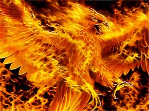 phoenix-fire-blaze-heat-gmym_093836