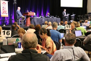 Synod floor
